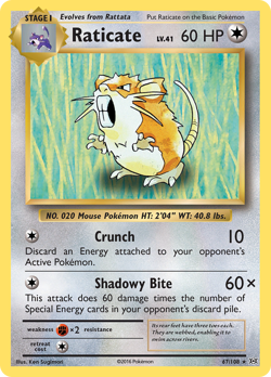 Raticate 67/108 Reverse Holo Rare Evolutions Pokemon NM - Image 1