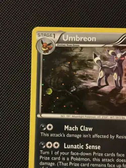 Pokemon Umbreon XY96 Promo Holo - Image 2