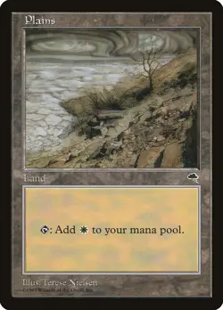Plains (B) Tempest PLD Basic Land MAGIC THE GATHERING MTG CARD ABUGames - Image 1