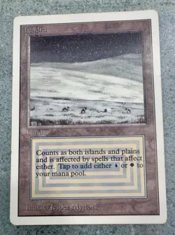 Wizards of the Coast Magic: The Gathering Tundra Land Jesper Myrfors - Image 1