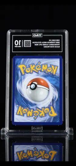 Oricorio EX Black Star Promo TAG 10 Pokemon Mega Evolution Phantasmal Flames 20… - Image 2