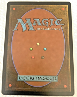 Delaying Shield MTG Odyssey Regular LP 17/350 - Image 3