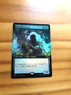 Mtg Carte Magic AFR Circle of Dreams Druid Extended Art FEA Japan Jpn FOIL NM - Image 1