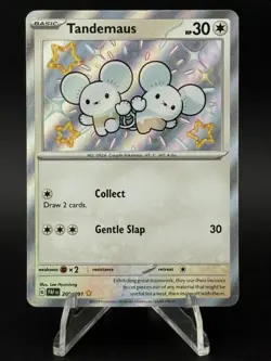 2024 Pokemon Tandemaus 209/091 Paldean Fates Baby Shiny Vault Holo Rare PAF - Image 1