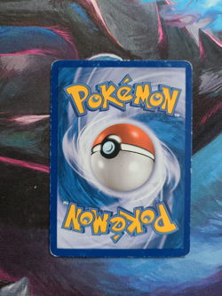 Pokemon Vintage and Modern- Charizard Evolution Line, Charmander, Charmeleon,... - Image 5