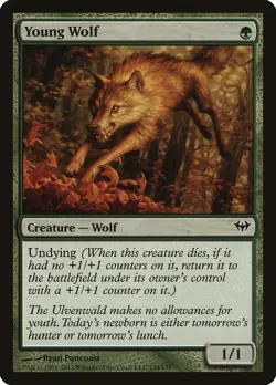 Young Wolf Dark Ascension NM Green Common MAGIC THE GATHERING CARD ABUGames - Image 1