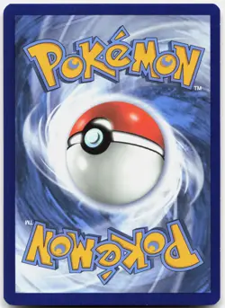 Shuckle Uncommon Lost Thunder 16/214 LP Pokemon - Image 2