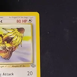 Pokemon TCG Pidgeot Jungle 24/64 1st Edition Rare LP - Image 3