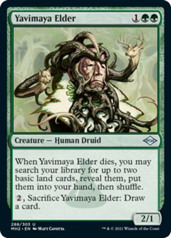 Yavimaya Elder FOIL Modern Horizons 2 NM Green Uncommon MAGIC MTG CARD ABUGames - Image 1