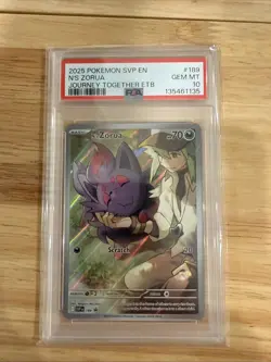 2025 POKEMON SVP EN-SV BLACK STAR PROMO #189 N'S ZORUA PSA 10 - Image 1