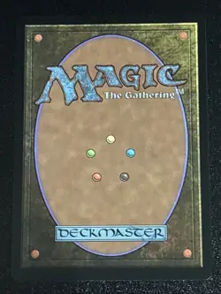 MTG Commander: Secrets of Strixhaven Fetid Heath 0372 NM Rare - Image 2