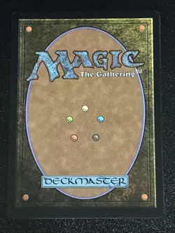 MTG Commander: Secrets of Strixhaven Flooded Grove 0373 NM Rare - Image 2