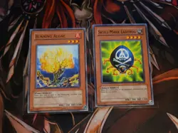 YUGIOH TCG BURNING ALGAE + SKULL-MARK LADYBUG IOC COMMON UNLIMITED 1996 - Image 1