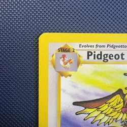 Pokemon Vintage 1st Edition Non-holo Rare Pidgeot Jungle 24/64 WotC 1999 - Image 2