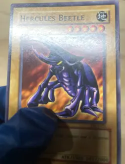 Hercules Beetle TP1-025 Tournament Pack 1 Unlimited Yu-Gi-Oh! NM - Image 3