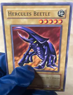 Hercules Beetle TP1-025 Tournament Pack 1 Unlimited Yu-Gi-Oh! NM - Image 4