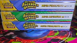 Pokemon TCG Ascended Heroes 2 x Mega Feraligatr EX + 1 Mega Meganium EX Sealed - Image 1
