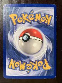 Pokemon TCG Dewgong Base Set 25/102 Regular 1st Edition Uncommon - Image 2