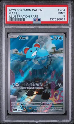 PSA 9 Marill 204/193 Paldea Evolved IR Scarlet & Violet Pokemon TCG - Image 4