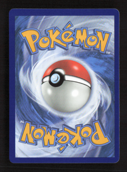 Morpeko V-Union SWSH: Sword & Shield Promo Cards SWSH287 NM Pokemon TCG - Image 2