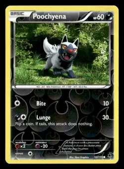 Poochyena Common Reverse Holo XY - Phantom Forces 53/119 LP Pokemon TCG - Image 1
