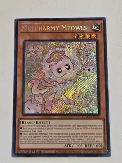 Mulcharmy Meowls SUDA-EN025 Secret Rare Yugioh 1st Edition Mint Condition - Image 1
