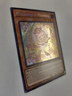 Mulcharmy Meowls SUDA-EN025 Secret Rare Yugioh 1st Edition Mint Condition - Image 2