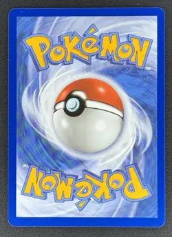 CHIMCHAR - 041 041 HOLO P ME: MEGA EVOLUTION PROMO NM - Image 2