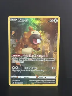 Bidoof GG29/GG70 Holo Crown Zenith Galarian Gallery NM Pokemon - Image 1