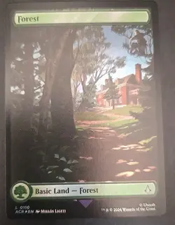 Forest (0109 X2/0110 X2) Universes Beyond:Assassin's Creed Foil MTG (4 Cards) NM - Image 4
