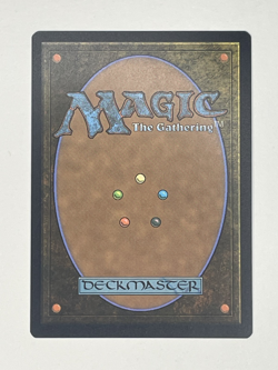 Magic MTG Banner of Kinship FDN 0127 Regular Rare - NM condition - Image 2