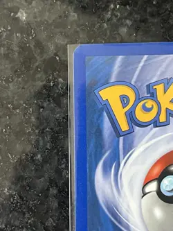 POKEMON SHELLDER 129/165 EXPEDITION BASE SET COMMON NEAR MINT - Image 4