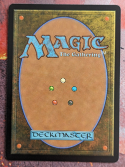 MTG Lush Portico # 263 - Regular Murders at Karlov Manor NM - Image 2