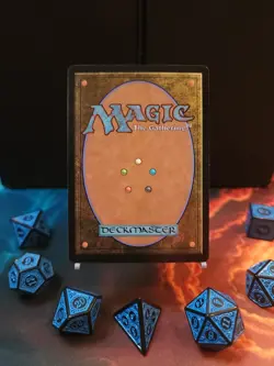 Mtg. Ainok Strike Leader. Extended Art. Tarkir: Dragonstorm. NM Japanese - Image 2