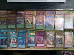 Enneacraft 40 Deck Complete with Sleeves+Deck Box LP Yugioh Meta - Image 1