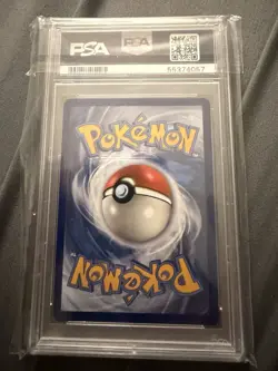 Pokemon TCG Raikou Vivid Voltage Holo Card PSA 10 050/185 - Image 3