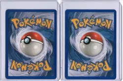 Vintage Pokemon Rare Duo: Ninetales 25/147 & Skarmory 63/165 - 2002 WOTC - Image 2