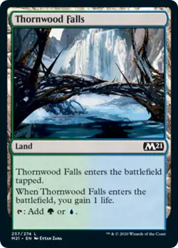 Thornwood Falls FOIL Core Set 2021 / M21 NM Land Common MAGIC MTG CARD ABUGames - Image 1