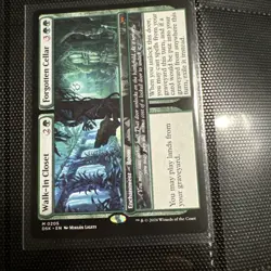 Walk-In Closet // Forgotten Cellar (REGULAR) x1 - MTG DSK #205 - Image 1