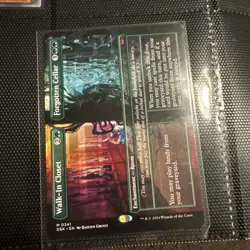 Walk-In Closet / Forgotten Cellar Borderless - DSK 0341 - NM - MTG Magic - Image 1