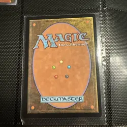 Walk-In Closet / Forgotten Cellar Borderless - DSK 0341 - NM - MTG Magic - Image 2