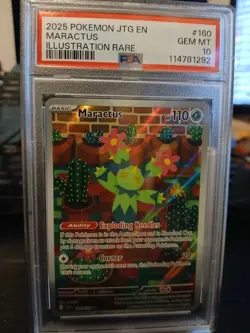 2025 Pokemon JTG Journey Together Maractus #160 Illustration Rare PSA 10 - Image 1