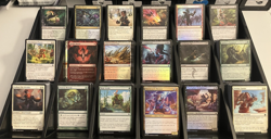 650+ MTG bulk lot C/U. Bloomburrow, Wilds of Eldrane, Foundations, Strix Haven - Image 1