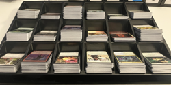 650+ MTG bulk lot C/U. Bloomburrow, Wilds of Eldrane, Foundations, Strix Haven - Image 2