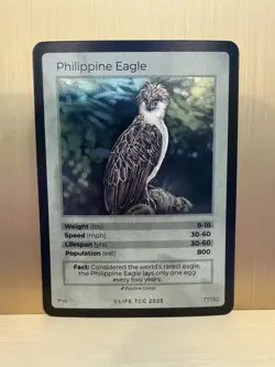 Life TCG Philippine Eagle 1st Ed. Holo Bird Card 17/130 2025 only 800 printed - Image 1
