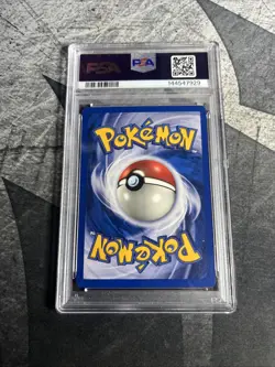 Pokemon Card Ludicolo Holo Promo PSA 8 Black Star Promo #020 2004 - Image 2