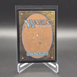 Stormcarved Coast - Secrets of Strixhaven - Borderless - Regular - MT/NM - Image 2