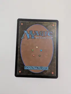MTG - Stormcarved Coast (Borderless) - Secrets of Strixhaven NM/M Condition - Image 4