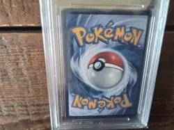 Pokemon Cards promo Holo 202/842 rockruff chr ar sr ex graded slab card art b33 - Image 3
