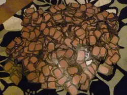 MTG - Magic the Gathering UNSORTED bulk job lot 1000 cards mixed sets U/C - Image 1